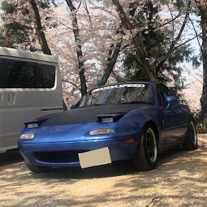 ロードスター NA8C