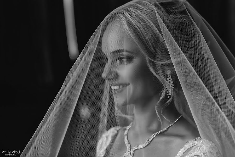 Fotógrafo de bodas Vasiliy Albul (albulvasily). Foto del 11 de junio 2018