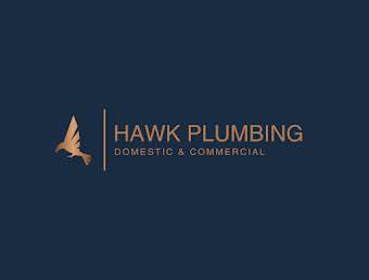 Hawk Plumbing album cover