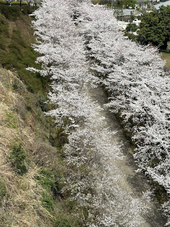 の投稿画像7枚目