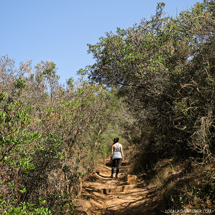 Cowles Mountain San Diego Hiking.