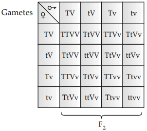 Solution Image