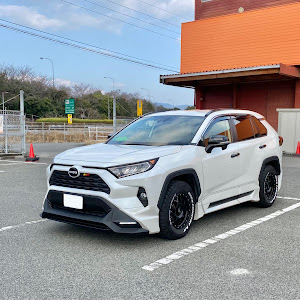 RAV4 MXAA52