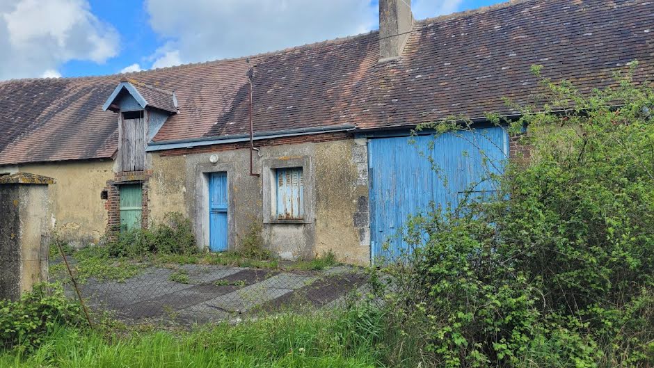 Vente maison 2 pièces 180 m² à Savigny-sur-Braye (41360), 29 000 €