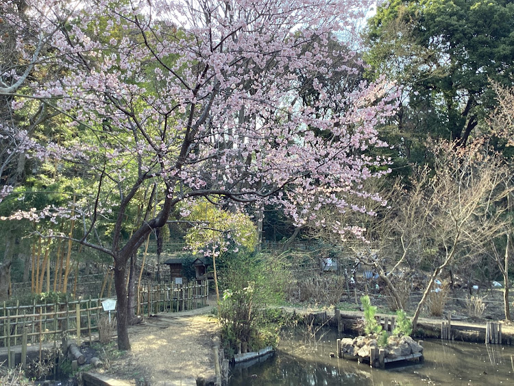 コペンの春爛漫！季節を楽しみましょう！最高だね！・日本の四季を楽しみましょう！春爛漫！最高だね！・１日！一日を大切に！二度と来ない日々です！今を最高に生きる！・たわい無い平凡な暮らしにこそ幸せ有り！最高だね！・たわい無い事柄に感謝！最高だね！に関するカスタム事例の投稿画像96枚目