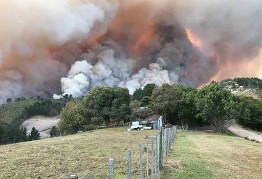 Fires burn at Buffelsvermaak farm near Knysna, South Africa June 7, 2017. Strong winds fanned fires which destroyed houses and prompted the evacuation of thousands of residents.