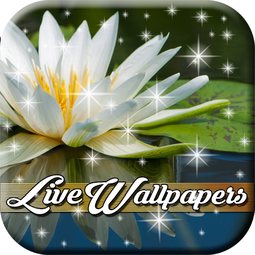 Flower Live Wallpapers 個人化 App LOGO-APP開箱王