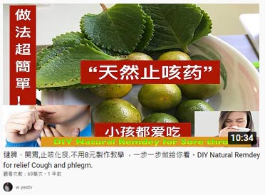 健脾、開胃,止咳化痰.不用8元製作教學 ，一步一步做给你看。DIY Natural Remdey for relief Cough and phlegm.