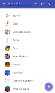 typ buňky - náhled