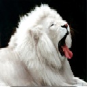 White Lion Chrome extension download