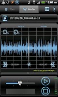 RecForge Pro - Audio Recorder Screenshot