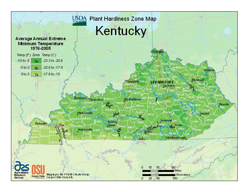 Plant Hardiness Zones in Kentucky – Garden Tower