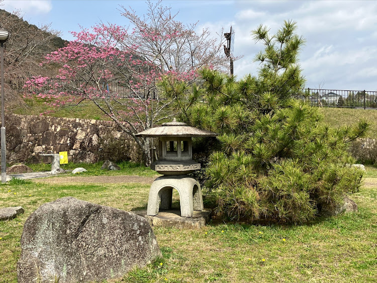 の投稿画像9枚目