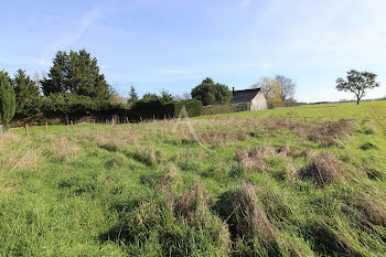 terrain à Bléré (37)