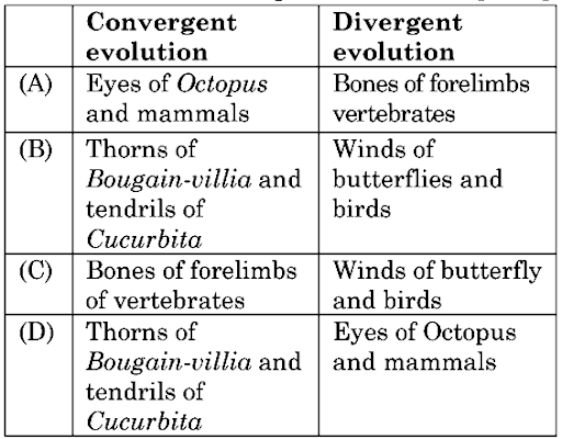 Morphological and Anatomical Evidences