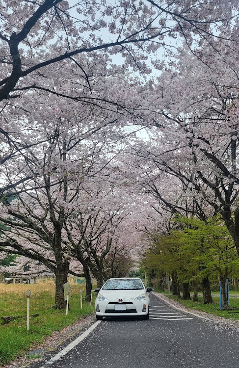 の投稿画像1枚目