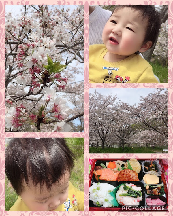 さやかさんが投稿したコロナウイルスに負けるな・花見・子供とお出かけに関するカスタム事例の投稿画像1枚目