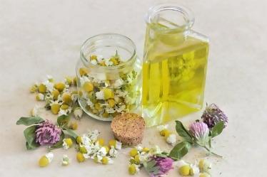 Roman Chamomile Essential Oil