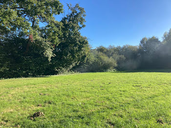 terrain à Loures-Barousse (65)