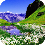 Cover Image of Unduh Wallpaper musim semi 7.6.5 APK