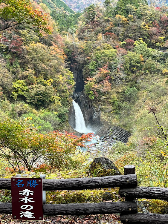 の投稿画像3枚目