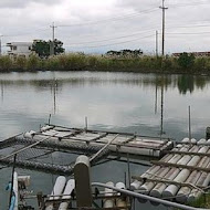 賣魚郎食酒處