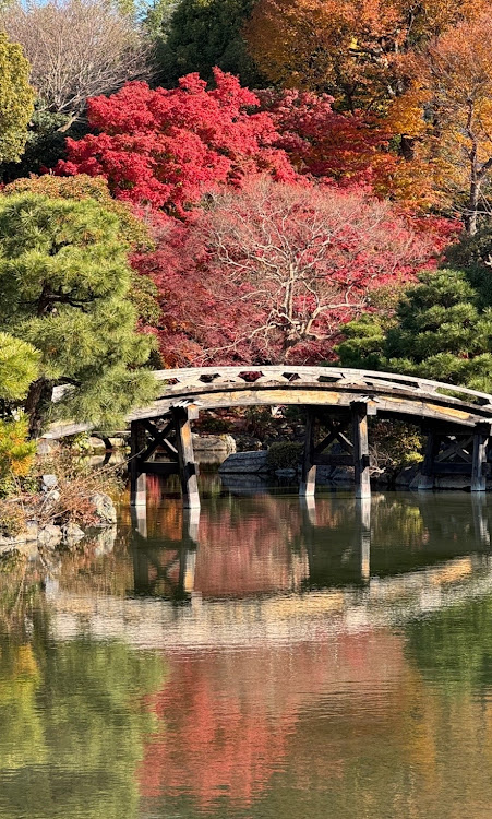 グレイスの京都・渉成園・東本願寺・イオンモール名古屋茶屋に関するカスタム事例の投稿画像5枚目