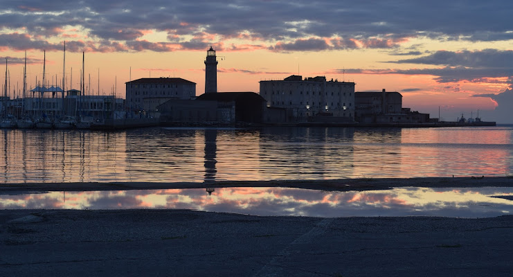 Trieste di nogoalba