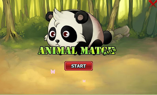 Animal Match Match