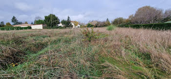 terrain à Saint-leon-sur-l'isle (24)