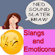 Download Slangs and Emoticons Guide For PC Windows and Mac 1.0