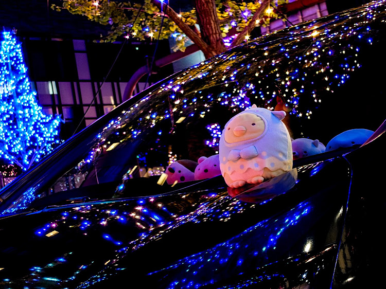 フリード+のnight photography・スマホの限界に挑戦・A.R.U.N.・だから私はXPERIA・御堂筋イルミネーション2023に関するカスタム事例の投稿画像11枚目