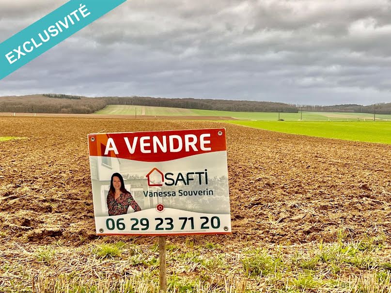 Vente terrain  1200 m² à Hermé (77114), 59 000 €