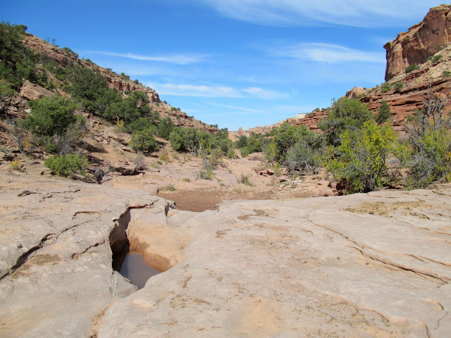 Dragonfly Canyon