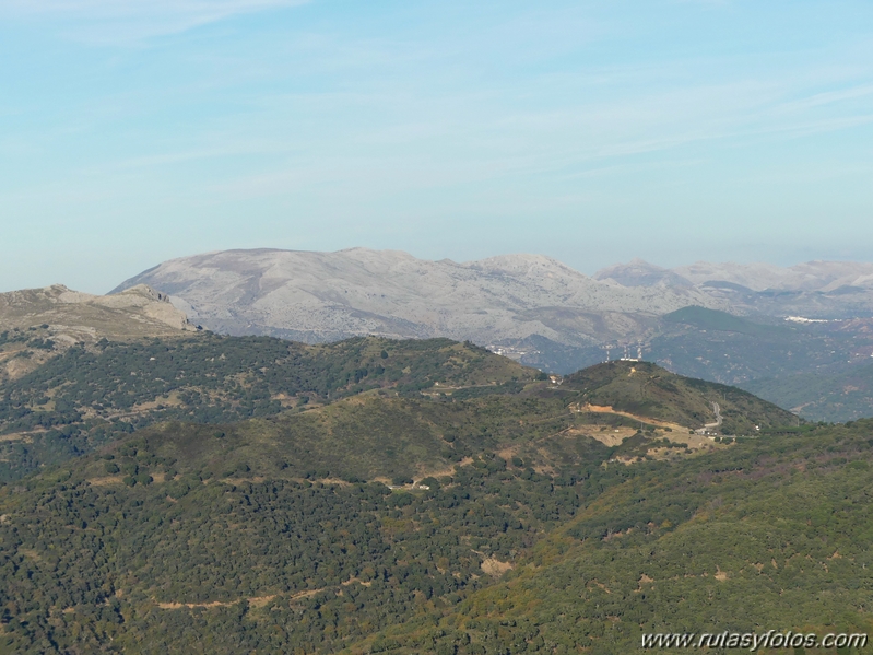 Sierra del Hacho (Gaucín)