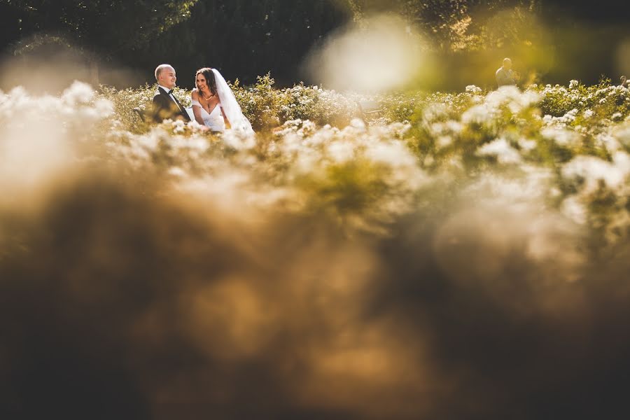 Photographer sa kasal Bartosz Ciesielski (bartekc). Larawan ni 8 Disyembre 2019