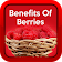 Health Benefits of Berries icon