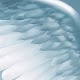 Chiama gli Angeli Download on Windows