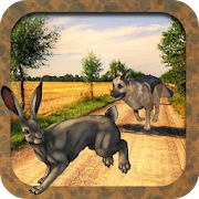 Dog Chase Rabbit Hunt Endless  Icon