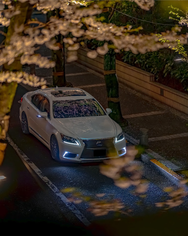 LSの@すーさん撮影📸・桜と愛車・サクラと愛車・夜桜・桜シーズン開幕に関するカスタム事例の投稿画像3枚目