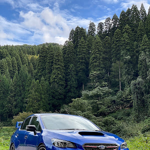 WRX S4 VAG