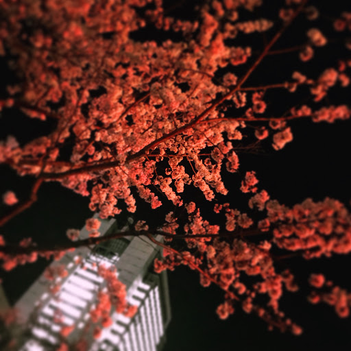 しのりょーのプロフィール画像