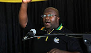 ANC West Rand region chairman Boyce Maneli.