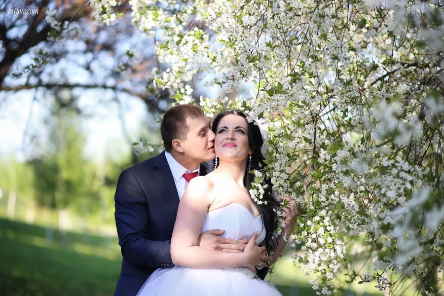 Fotografo di matrimoni Olya Veselova (olybry). Foto del 1 aprile 2017