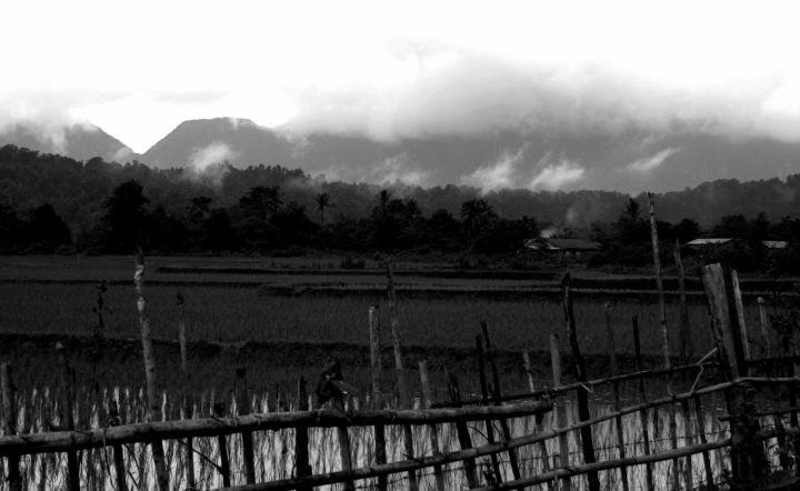 Monsone sulle campagne di Vang Vieng di nocciu