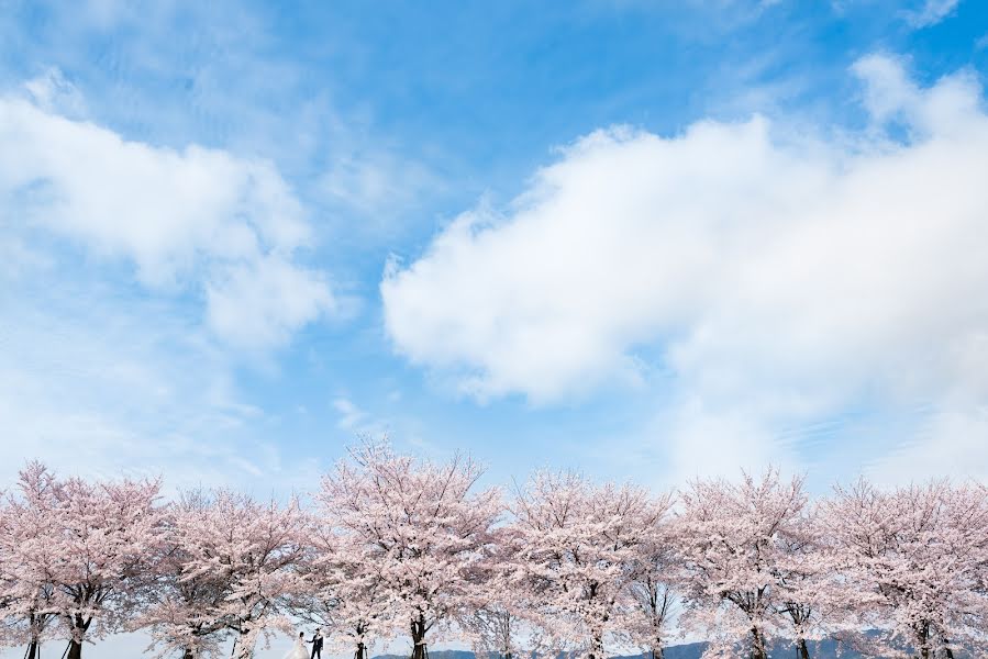 Wedding photographer Masato Kubo (kuppokubo). Photo of 28 April 2016