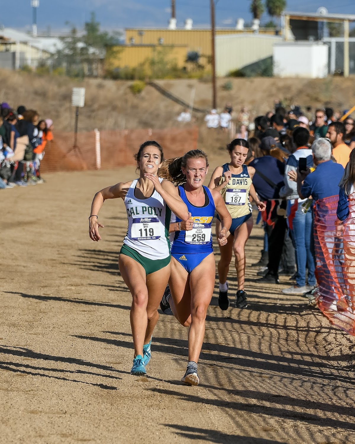 Big West Cross Country Championships