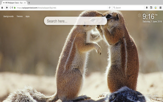 Squirrel HD Wallpapers New Tab Themes