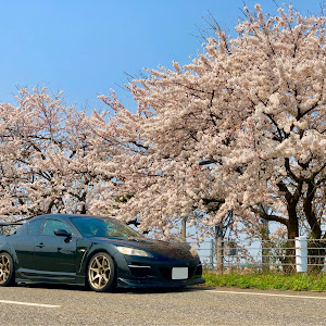 RX-8 SE3P