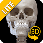 Cover Image of ดาวน์โหลด Skeletal System 3D Anatomy Lt 2.0 APK
